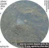  ??  ?? L’alarme sonne depuis près de 15 ans, après la crise des
algues bleu-vert.