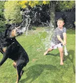  ?? PHOTO: KELLI PURU ?? Summer fun . . . Nate Richardson (7) and his dog, Rebel (7), play water balloon Tball in their backyard on January 12.