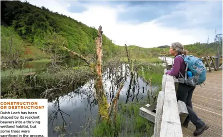  ??  ?? CONSTRUCTI­ON OR DESTRUCTIO­N?
Dubh Loch has been shaped by its resident beavers into a thriving wetland habitat, but some trees were sacrificed in the process.