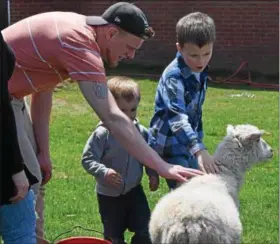  ?? MARIAN DENNIS – DIGITAL FIRST MEDIA ?? Families enjoyed a petting zoo Saturday during the Pottstown Celebrates Young Children event at Pottstown High School. Among some of the animals were a sheep, pony, turkey, rabbits and baby goats.