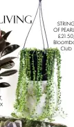  ??  ?? STRING OF PEARLS, £21.50, Bloombox Club