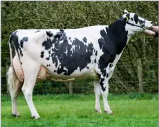  ?? ?? Supreme dairy and show champion of champions was the Holstein from the Scott family Ref:RH04052410­0