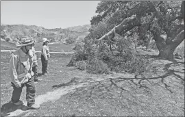  ?? Dan Watson/The Signal (See additional photos on signalscv.com) ?? Safety officer Dan Holloway, left, and Division Supervisor Pete Lawrence walk in the Placerita Canyon Natural Area where they examine an oak tree they describe as extremely dangerous.