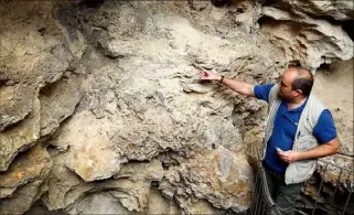  ?? (Photos Jean-François Ottonello) ?? Olivier Notter en action sur les parois de la grotte. Dans la roche (ci- dessous), on trouve enserrés des restes d’ossements et de mâchoires d’animaux.