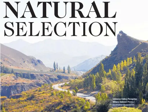  ?? Photos / Destinatio­n Queenstown ?? Gibbston Valley; Peregrine Winery (below).