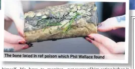  ??  ?? The bone laced in rat poison which Phil Wallace found