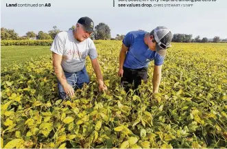  ?? CHRIS STEWART / STAFF ?? BELOW: Cropland farmed by Dale Seim and his son, Scott, in Perry Twp. are among parcels to see values drop.