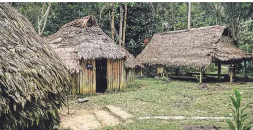  ?? FOTOS: MARTIN HÖCKER ?? Ein Museumsdor­f im Naturpark Mundo Amazonico