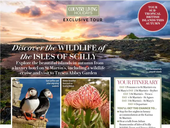  ?? ?? Spot puffins and other migrating seabirds
Admire beautiful flora such as Scarlet Ribbon
Visit five beautifull­y unspoilt islands