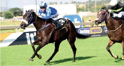  ??  ?? LADIES FIRST. Ektifaa beats home her male rivals to win the R250 000 Grade 3 Tony Ruffel Stakes over 1450m at the Turffontei­n Inside track on Saturday.