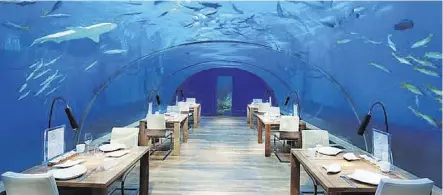  ??  ?? The resort also has an undersea restaurant that serves up eight-course feasts.