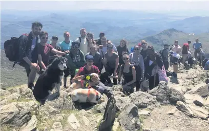  ??  ?? ●●One of the store’s fundraisin­g efforts was a trek up Mount Snowdon by 17 colleagues – and seven dogs – to raise £1,000