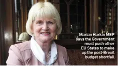  ??  ?? Marian Harkin MEP says the Government must push other EU States to make up the post-Brexit budget shortfall