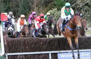  ??  ?? Rob James leading the way on Sporting Press in Tinahely on Sunday, before settling for second spot.