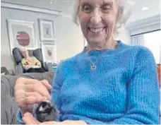  ?? ?? One of the delighted residents handles one of the chicks.