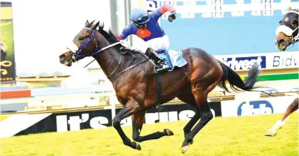  ??  ?? COMEBACK: S’manga Khumalo takes a peek under his arm to assess his position as Liege crosses the line first in the Jubilee Handicap in June. Piere Strydom takes over in the irons in Race 6 tomorrow and Liege could follow up in his first run since his...