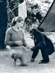 Jane Goodall in Conversati­on - PressReader