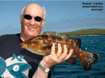  ??  ?? Hooked – a ballan wrasse taken on a worm bait