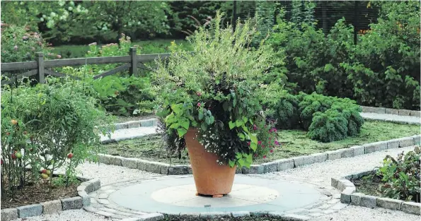  ?? NEIL LANDINO JR./JANICE PARKER/THE ASSOCIATED PRESS ?? Using one big, dramatic planter rather than several smaller ones can have strong impact in gardens large and small.