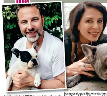  ??  ?? Double act: David Walliams and his pet pooch Designer dogs: Is this why fashion guru Sadie Frost called her label Frost French? Inset: Supermodel Irina Shayk catnaps with her pup