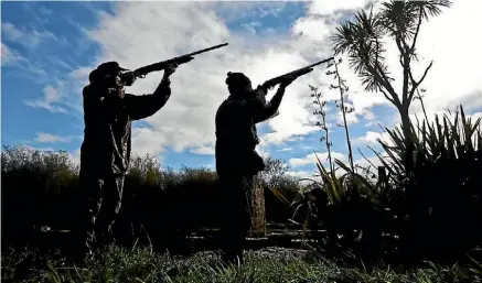  ??  ?? Opening day of duck shooting season at Fish & Game pond in Pokeno last year.