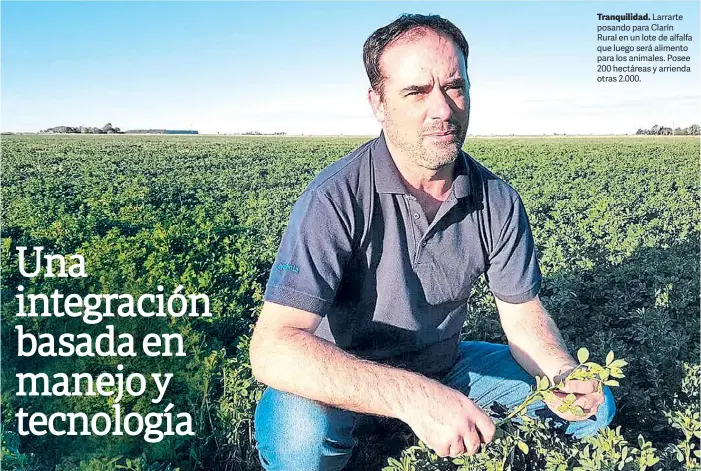  ??  ?? Tranquilid­ad. Larrarte posando para Clarín Rural en un lote de alfalfa que luego será alimento para los animales. Posee 200 hectáreas y arrienda otras 2.000.