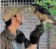  ?? African News Agency ?? RYNE Ferguson with the spotted eagle owl. | THEO JEPHTHA