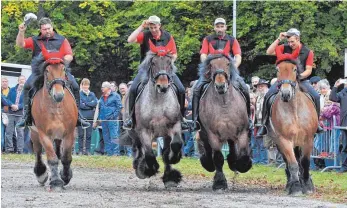  ?? FOTO: AXEL PRIES ?? Die schiere Kraft, aber doch auch elegant und gewandt: Kaltblüter der „Bauern-Quadrille“aus Aichstette­n bei einer Vorführung.