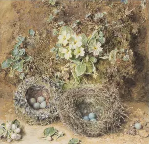  ??  ?? 3. Primroses and Bird’s Nests, c. 1850, William Henry Hunt (1790–1864), watercolou­r on paper, 34.7 × 35.5cm. Victoria and Albert Museum, London