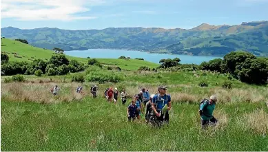  ?? STUFF ?? Lace up your boots and hit the trails for the Banks Peninsula walking festival.