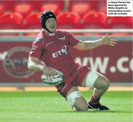  ??  ?? > James Davies has been ignored by Wales despite an outstandin­g season with the Scarlets