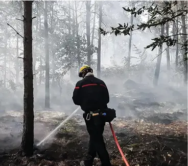  ?? ?? Un incendie a dévasté au début du mois de juin une parcelle du massif forestier.
