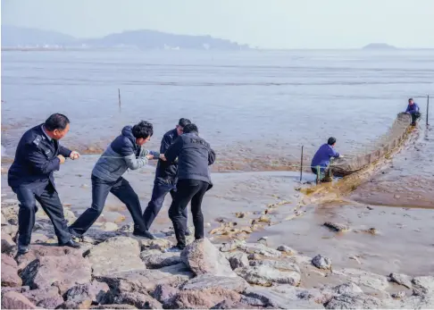  ??  ?? 台州海洋与渔业部门清­理滩涂违禁渔具