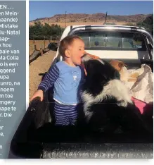  ??  ?? KLAPSOEN . . . Klein Coen Meintjes (16 maande) van Fort Mistake in KwaZulu-Natal en die skaaphond Max hou sommer baie van mekaar. Ma Colla sê die foto is een Sondagogge­nd deur sy oupa Coenie Munro, na wie hy genoem is, geneem toe hulle saamgery het om...