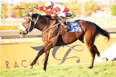  ??  ?? BEATEN BETTER. Bulleting Home has beaten better than he will face in Race 3 at Greyville Polytrack on Sunday, a Pinnacle Stakes over 1400m, and should be a Pick 6 banker.