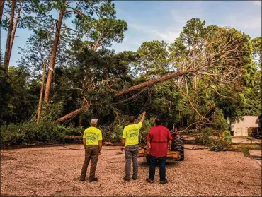  ?? JOHNNY MILANO / THE NEW YORK TIMES ?? Contractor­s navigate the removal of a tree in Panacea, Fla., on Thursday. A vast search-and-rescue operation was underway Thursday after Hurricane Michael cut a path through the Florida panhandle.