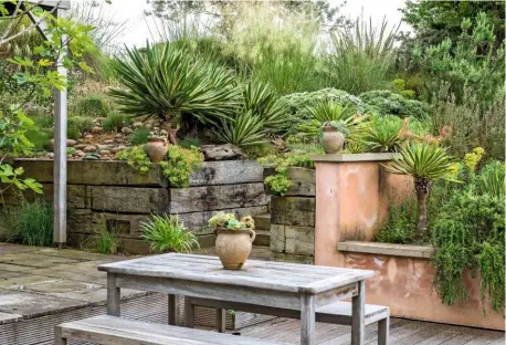  ??  ?? A courtyard with retaining wall beds planted with rosemary, euphorbias, grasses, hebes and sea pinks. The dagger-like leaves of Yucca gloriosa make for a striking focal point.