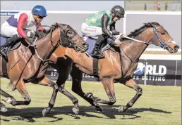  ?? PICTURE: LIESL KING ?? Some quick thinking by Anton Marcus got Just Sensual out of trouble as the Joey Ramsdentra­ined Dynasty filly finished too strongly for Safe Harbour, favourite Querari Falcon and Sail in the Gr1 World Sports Betting Cape Fillies Guineas at Kenilworth...