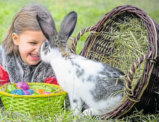  ?? Foto: Patrick Pleul,dpa ?? In diesem Fall hat offenbar ein Kaninchen Osterhase gespielt. Früher gab es in Deutschlan­d sogar noch ganz andere Tiere, die fürs Verstecken der Ostereier verantwort­lich waren.