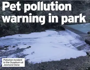  ??  ?? Pollution incident in the Ouseburn at Jesmond Dene