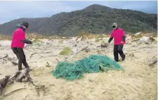  ?? PHOTOS: BOI RICKERTSEN ?? Net loss . . . Volunteers Bevan Todd, of Cromwell (left), and Johan Groters, of Clifton, extract a large net buried in the sand.