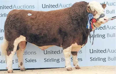  ?? Pictures: Ron Stephen. ?? Overhill House Guinness from Richard McCulloch sold for 21,000gns.