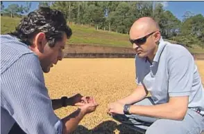  ??  ?? Josep Novell (derecha) en una plantación de café en Brasil