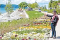  ?? FOTOS: UWE JAUSS ?? Edith Heppeler zeigt Blumenbeet­e am Bodensee. All die Pracht wird nun kein Besucher zu sehen bekommen.