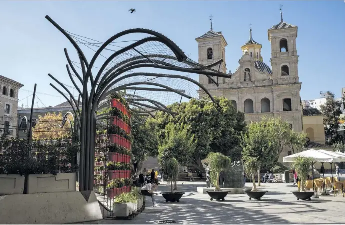  ?? Fotos: Belinda Klosterman­n ?? Die Topfpflanz­en-Wand schmückt seit 2018 dauerhaft die Plaza Santo Domingo.