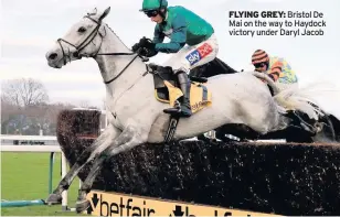  ??  ?? FLyInG GREy: Bristol De Mai on the way to Haydock victory under Daryl Jacob