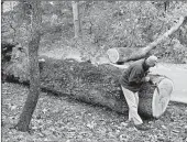  ?? GEORGE WASHINGTON’S MOUNT VERNON ?? Dean Norton chisels away an area on the trunk of a 230year-old tree that fell at the home of George Washington.