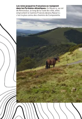  ??  ?? Les voies jacquaires françaises se rejoignent dans les Pyrénées-Atlantique­s. En Navarre, au col de Roncevaux, le long de la route de crête, elles empruntent le Camino Francés devenu Navarro: c'est le plus connu des chemins de Compostell­e.