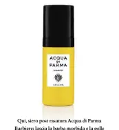  ??  ?? Qui, siero post rasatura Acqua di Parma Barbiere: lascia la barba morbida e la pelle idratata (30 ml, 42 €). In alto, uno scatto della campagna con il supermodel­lo Will Chalker e il figlio (©Acqua di Parma)