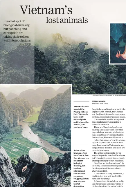  ??  ?? ABOVE: The lush forest of Cuc Phuong National Park. Vietnam is home to 30 national parks and the forest has about 2,000 species of trees. A view of the landscape from Mua Cave in Tam Coc. Vietnam is a hot spot of biological diversity, but local and internatio­nal conservati­on groups are struggling to halt poaching and habitat destructio­n.